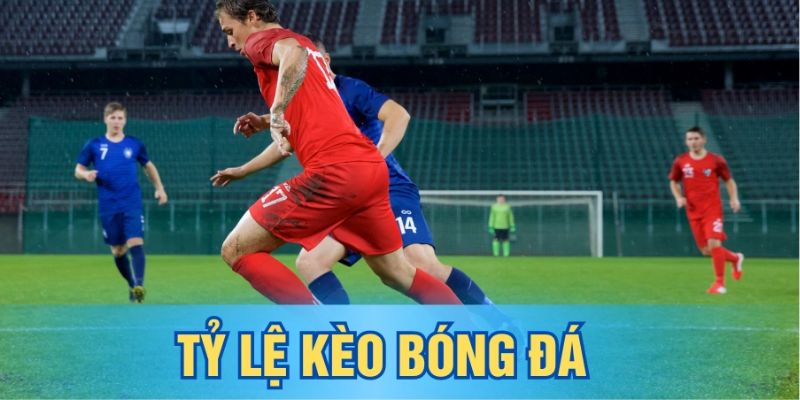 Tỷ Lệ Kèo Bóng Đá Và Những Điều Tân Binh Cần Nắm Bắt