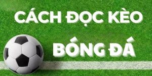 Cách Đọc Kèo Bóng Đá Chuẩn Xác Dành Cho Người Chơi Mới 2024