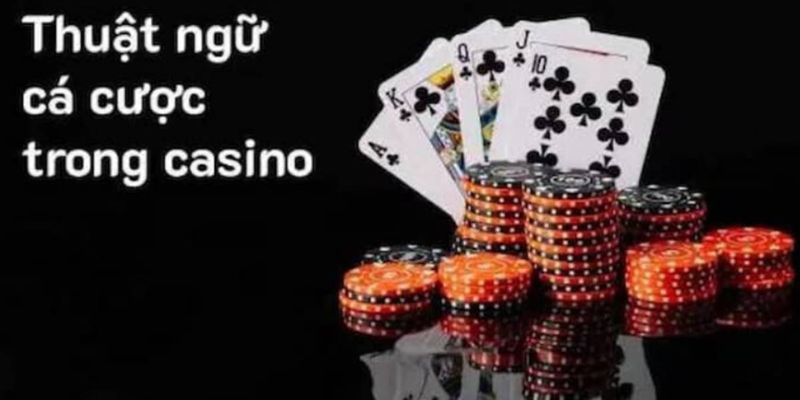 Bật Mí Những Thuật Ngữ Trong Casino Cược Thủ Cần Nắm Rõ